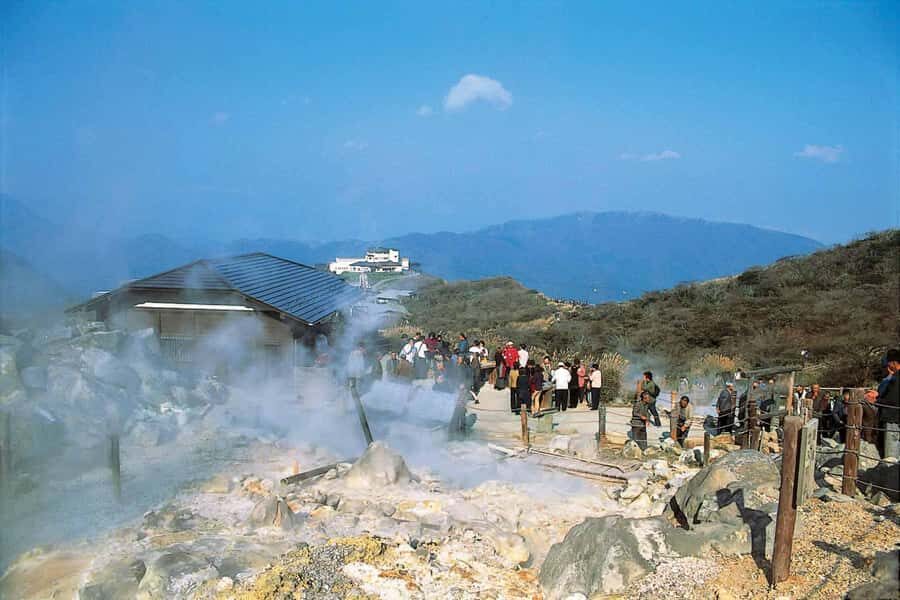 From Tokyo to Hakone: Train Tickets and Hakone Free Pass - Who Will Love This Tour?