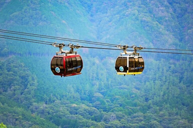 From Tokyo to Mt.Fuji Hakone: Ropeway,Lake Ashi and Volcano - What Sets This Tour Apart