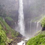 From Tokyo to Nikko: Limited Express Tickets with Souvenir - Who Will Love This Experience?