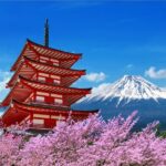 From Tokyo: Tokyo, Kyoto, Osaka, & Nikko Private 7-Day Tour - Why Choose This Tour?