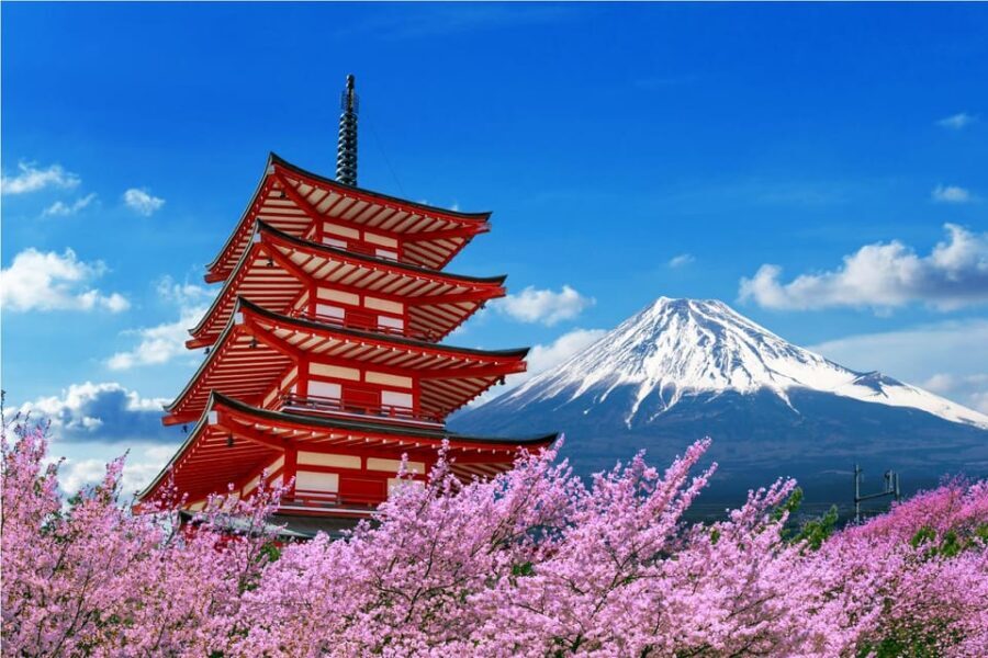 From Tokyo: Tokyo, Kyoto, Osaka, & Nikko Private 7-Day Tour - Why Choose This Tour?