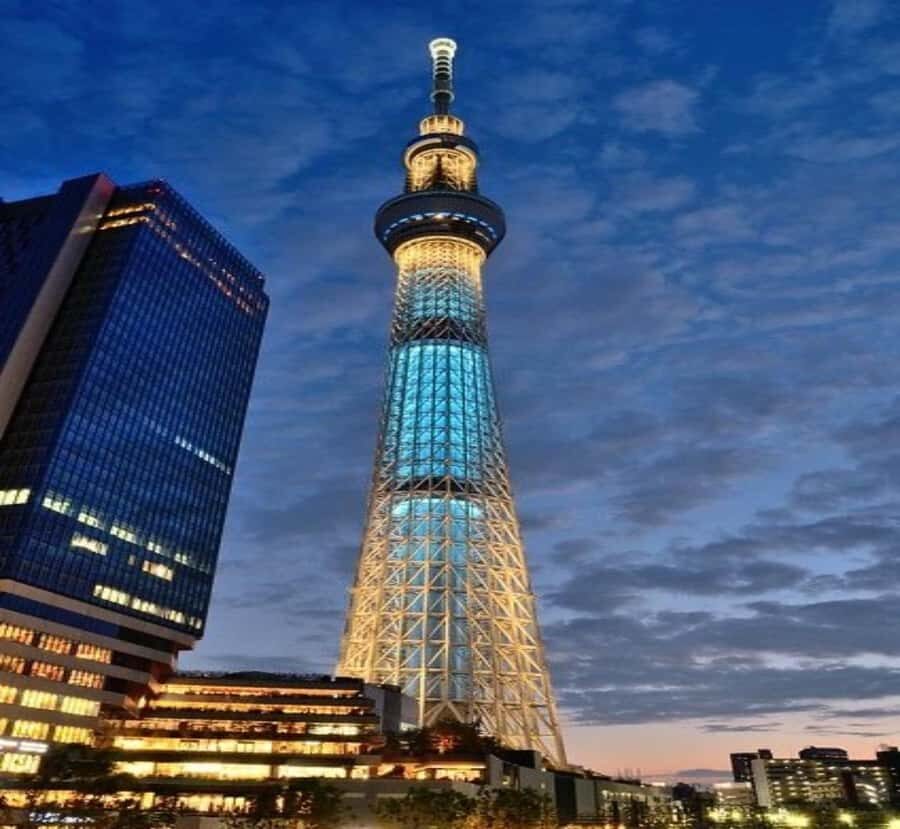 From Tokyo: Tokyo Private Tour with Temples & Towers - The Practical Side: What You Should Know