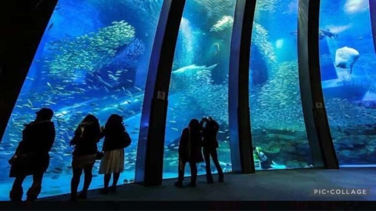 From Tokyo: Yokohama and Tokyo Private Day Tour with Guide - What’s Included and How It Adds Value