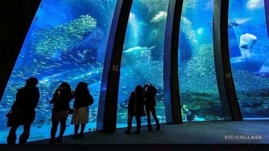 From Tokyo: Yokohama and Tokyo Private Day Tour with Guide - What’s Included and How It Adds Value