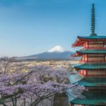 From Tokyo:Mount Fuji Private & Customizable Tour with guide - How the Tour Works: Practical Details