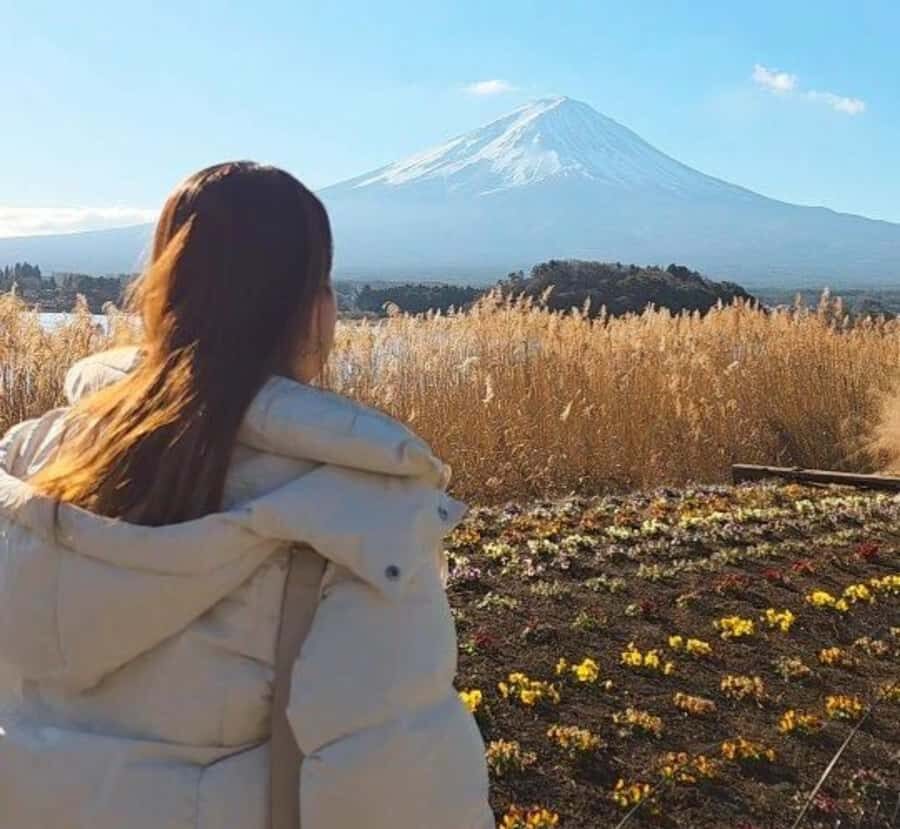 From Tokyo:Mount Fuji Private Customizable Tour with Guide - Detailed Breakdown of the Itinerary