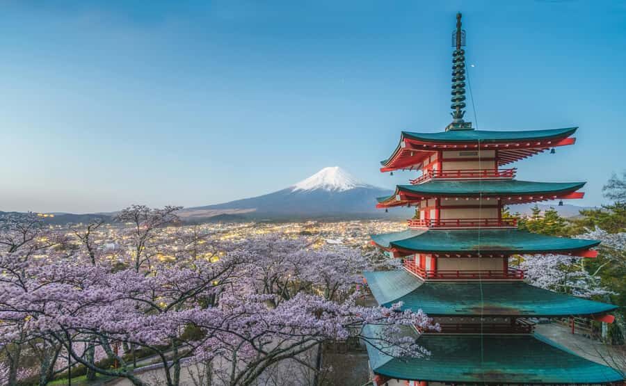 From Tokyo:Mount Fuji Private & Customizable Tour with guide - How the Tour Works: Practical Details