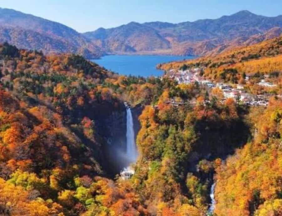 From Tokyo:Nikko World Heritage Customizable Tour with Guide - The Itinerary Break-Down: What to Expect