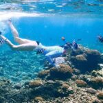 From Trawangan: Snorkling, Statue, and Visit Turtle Sactuary - An In-Depth Look at the Gili Islands Snorkeling Tour