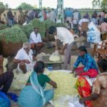 From Trichy : A Private Car and Driver tour to Madurai - Overview of the Tour Experience