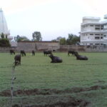 From Udaipur: Mount Abu Day Trip - The Practical Details