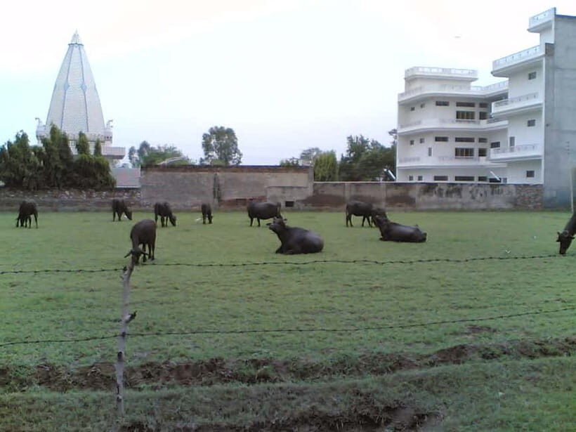 From Udaipur: Mount Abu Day Trip - The Practical Details