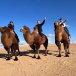 From Ulaanbaatar: Central Mongolia Guided 3-Day Tour - What to Expect from the Tour
