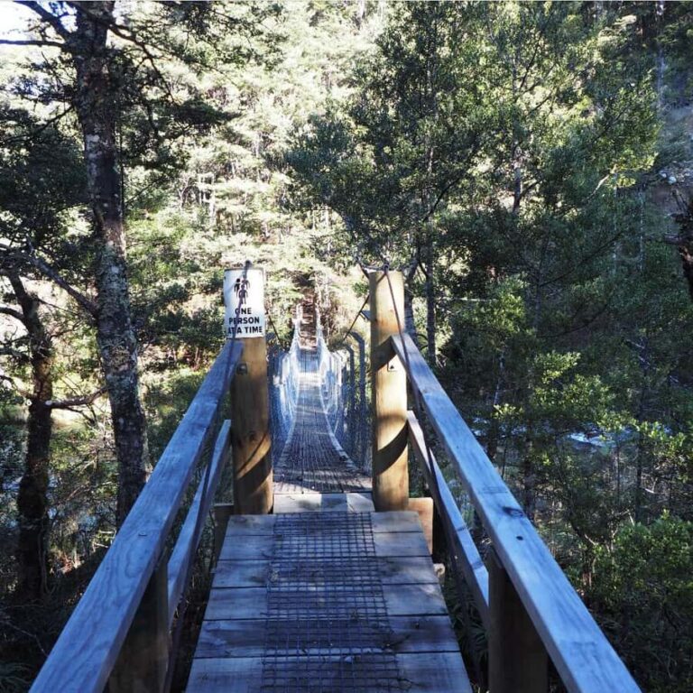 From Waikato: Kaimanawa Descent Heli-Hiking Adventure - Final Thoughts