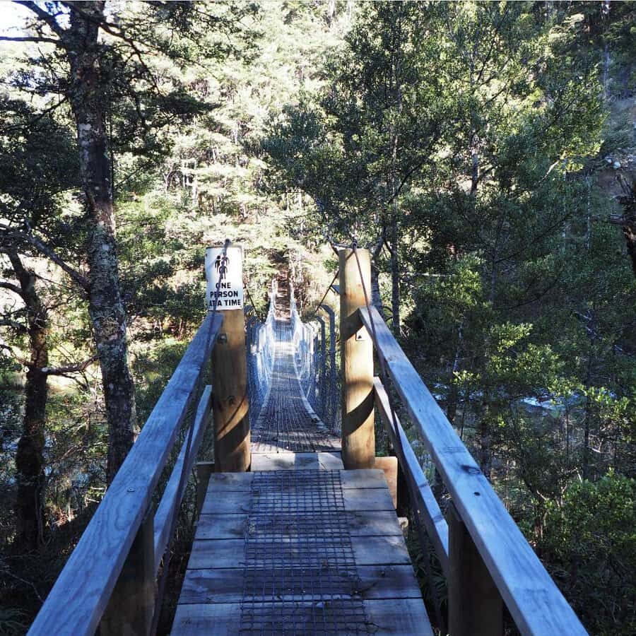 From Waikato: Kaimanawa Descent Heli-Hiking Adventure - Final Thoughts