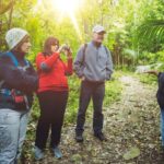 From Wellington: Kapiti Island Classic Guided Day Tour - Why This Tour Offers Great Value