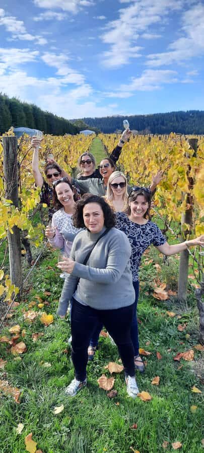 From Wellington: Martinborough Winery Tour - Exploring the Martinborough Winelands in Detail