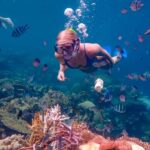 From Yogyakarta: Private 3-Day Karimunjawa Island Tour - The Itinerary Breakdown