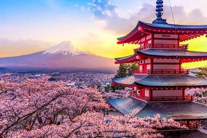 From Yokohama Port Arakurayama & G. Outlets 10 Hour Private Tour - Practical Details and Considerations