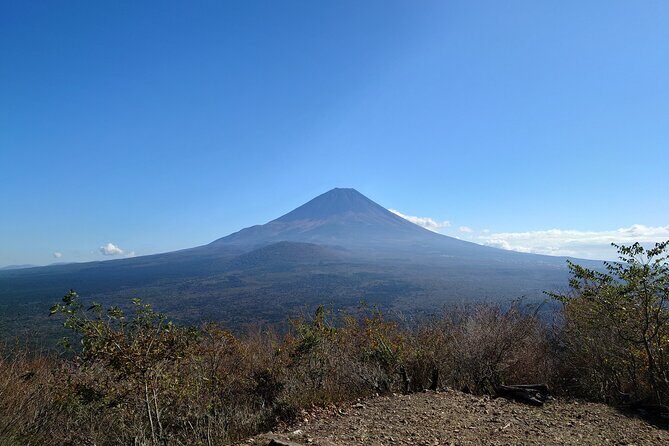 Fuji 5 Lakes Forest Bathing - Final Thoughts: Who Will Love It?