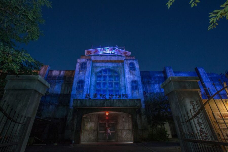 Fuji-Q Highland: Afternoon Pass (Non-Japanese Citizens) - How the Ticket Works and What’s Included