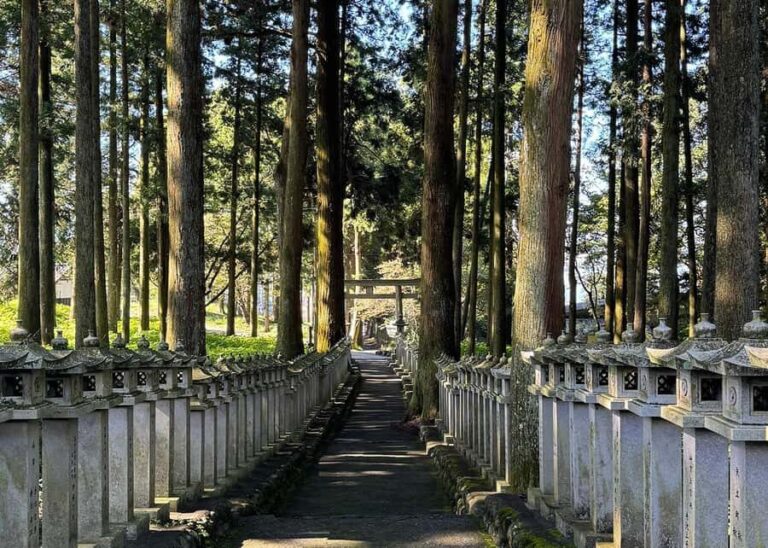 Fujinomiya: Mt. Fuji Private Taxi Tour - The Practical Side: Transportation, Timing, and Group Size