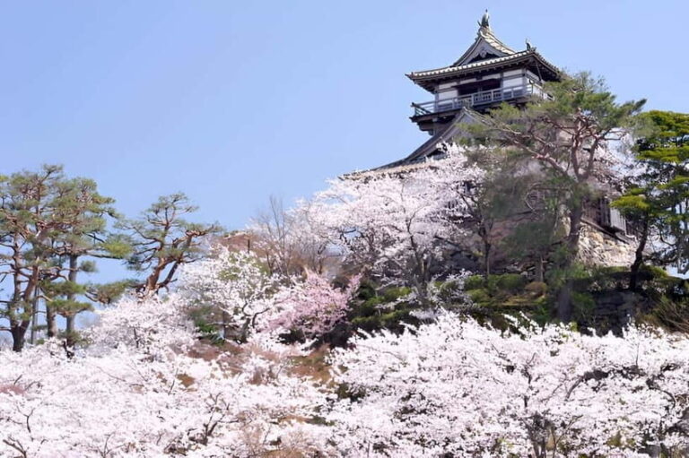 Fukui: Maruoka Castle Admission Ticket - The Authentic Charm of Maruoka Castle