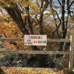 Fukuoka: 2-Day Kysh Onsen & Mt. Aso -Volcano Escape Tour - What Makes This Tour Stand Out