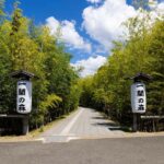 Fukuoka: 6-Day Kyushu & Kansai Tour - Practical Considerations & Value