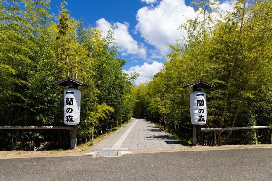 Fukuoka: 6-Day Kyushu & Kansai Tour - Practical Considerations & Value