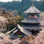 Fukuoka: Beppu Hells HotSpring, Frog Temple & Yufuin DayTrip - The Practicalities: What to Expect