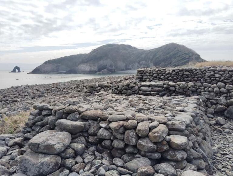 Fukuoka: Cats Island, Ainoshima Guided Tour from Hakata - What to Expect During the Tour