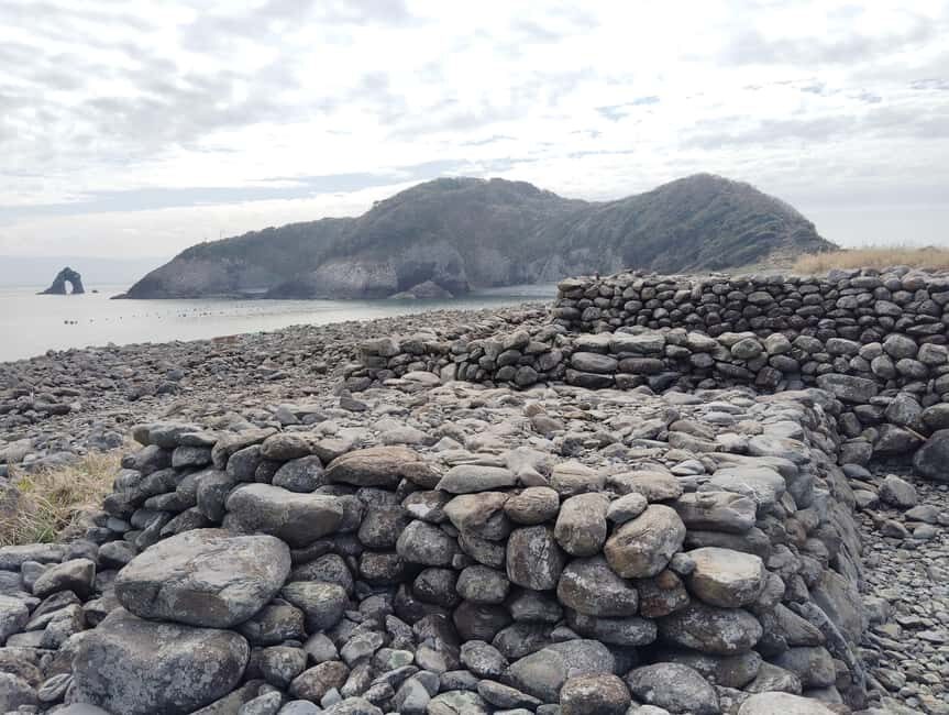 Fukuoka: Cats Island, Ainoshima Guided Tour from Hakata - What to Expect During the Tour