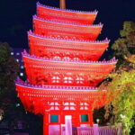 Fukuoka Cultural Walk: Castle, Shrines, Temples & Tales - Itinerary Breakdown: What You’ll Experience