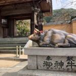 Fukuoka: Dazaifu Shrine, Ohori Park, and Castle Tour - Who Will Enjoy This Tour?