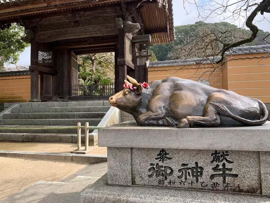 Fukuoka: Dazaifu Shrine, Ohori Park, and Castle Tour - Who Will Enjoy This Tour?