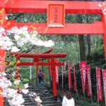 Fukuoka: Dazaifu Tenmangu Shrine & Yatai Food Tour - Exploring Fukuoka: An Authentic Journey