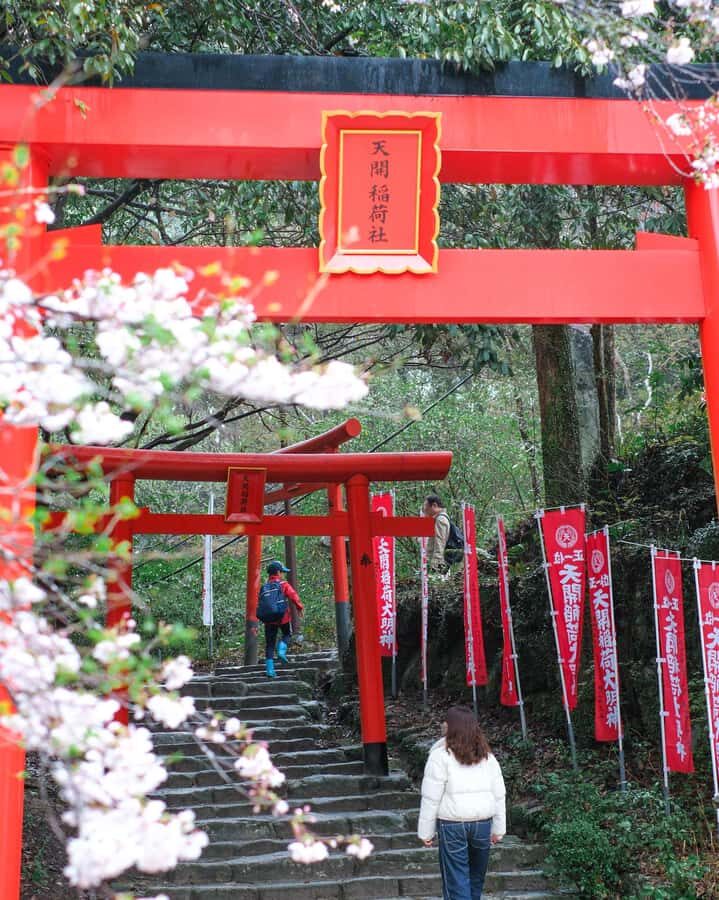 Fukuoka: Dazaifu Tenmangu Shrine & Yatai Food Tour - FAQ