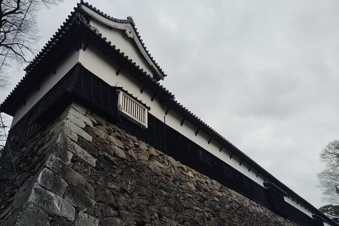 Fukuoka: Fukuoka Castle and Ohori Park Guided Tour - Why Consider This Tour?