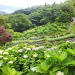 Fukuoka: Itoshima Adventure & Wellness Private Day Trip - What Makes This Tour Stand Out?