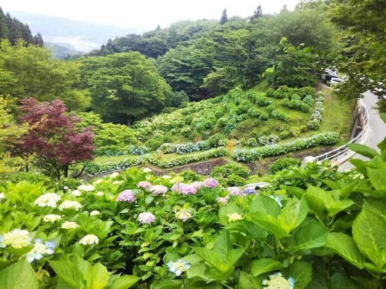 Fukuoka: Itoshima Adventure & Wellness Private Day Trip - What Makes This Tour Stand Out?