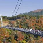 Fukuoka: Kyushu Autumn Yabakei, Kokonoe Yume Brdg. & Dazaifu - Detailed Breakdown of the Tour Experience