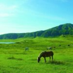 Fukuoka: Mt. Aso Volcano Walk & Kusasenri Horseback Ride - Why this tour offers great value