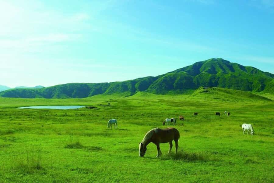 Fukuoka: Mt. Aso Volcano Walk & Kusasenri Horseback Ride - Why this tour offers great value