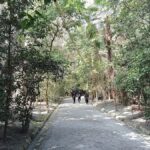 Fukuoka: Munakata Taisha Shrine Guided Tour  UNESCO Site - Who Should Consider This Tour?
