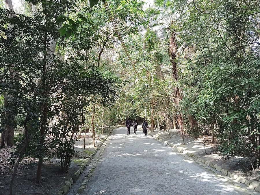 Fukuoka: Munakata Taisha Shrine Guided Tour  UNESCO Site - Who Should Consider This Tour?