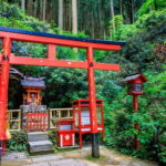 Fukuoka: Nanzoin Temple & Reclining Buddha Guided Tour - Who This Tour Is Perfect For