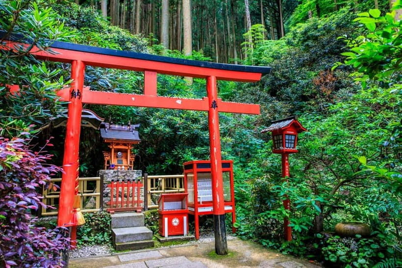 Fukuoka: Nanzoin Temple & Reclining Buddha Guided Tour - Who This Tour Is Perfect For