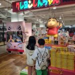 Fukuoka: Night River Cruise with Pickup and Dinner - Who Is This Tour Best Suited For?