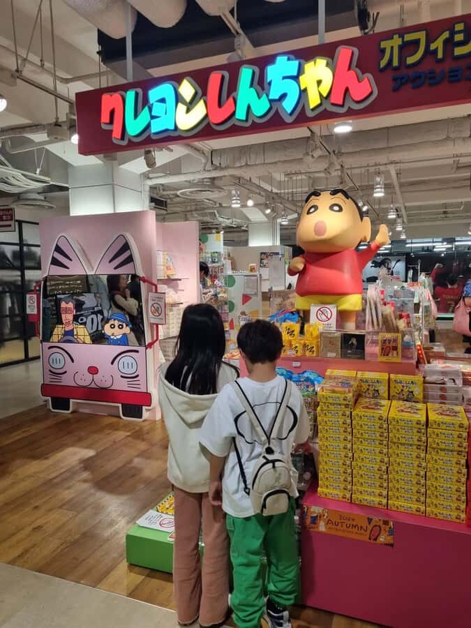 Fukuoka: Night River Cruise with Pickup and Dinner - Who Is This Tour Best Suited For?